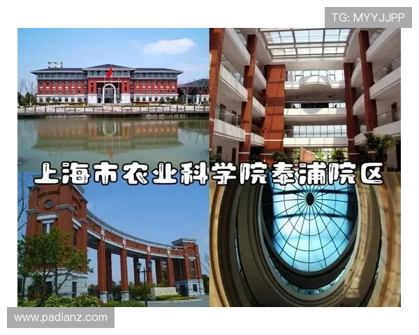 探索农力士娱乐：引领农业娱乐新潮流的创新平台